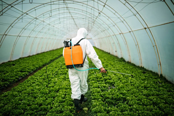 Reliable Benson, AZ Pest Control Solutions