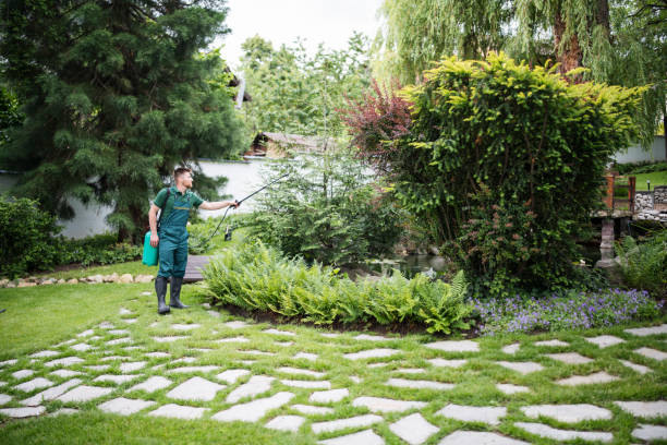 Best Mosquito Control Services  in Benson, AZ