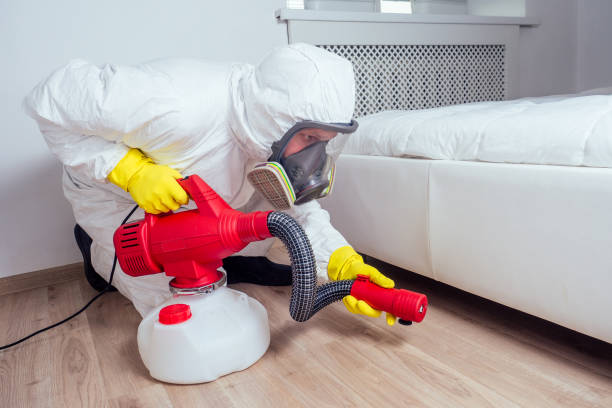 Insect Control in Benson, AZ