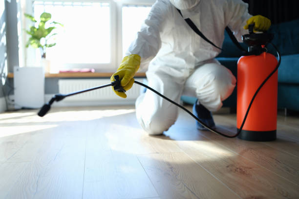Flea Control Services in Benson, AZ