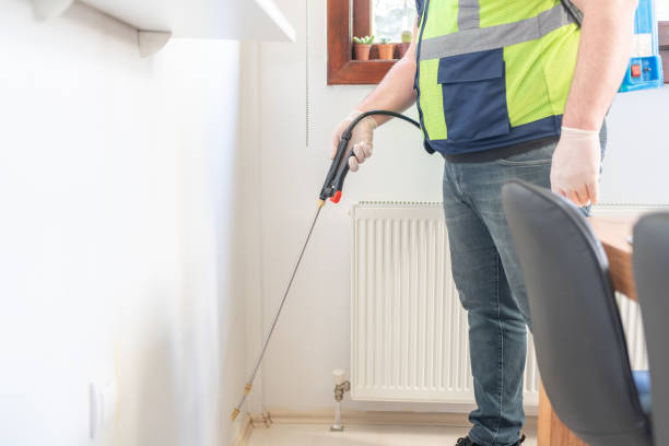 Best Local Pest Control Services  in Benson, AZ