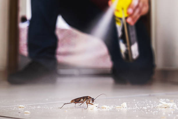 Best Cockroach Control Services  in Benson, AZ