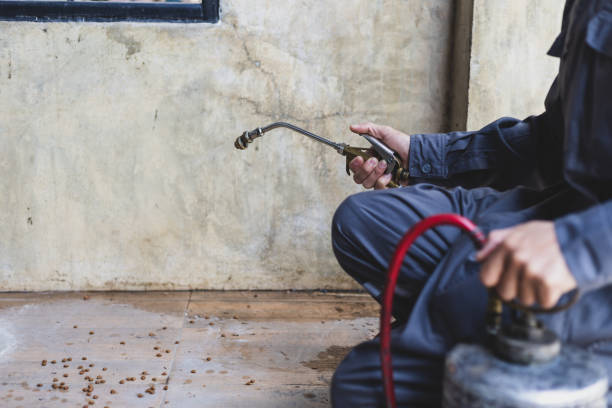 Best Best Pest Control Companies  in Benson, AZ